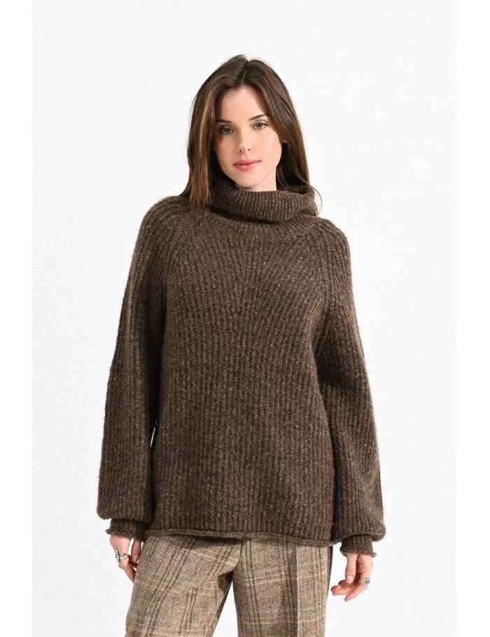 The Acacia Chunky Turtleneck Sweater