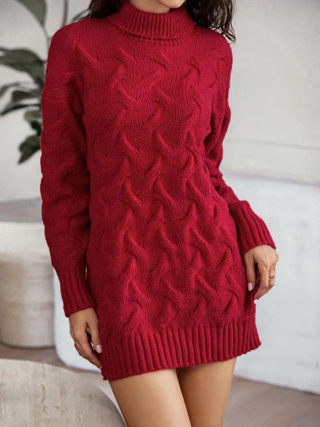 Turtleneck Sweater Dress